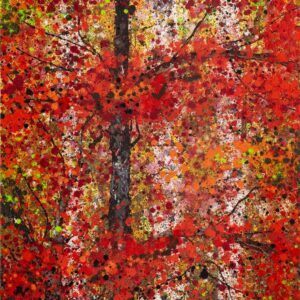 N°442 – Série « The forest call »